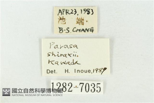素木綠刺蛾藏品圖，第3張