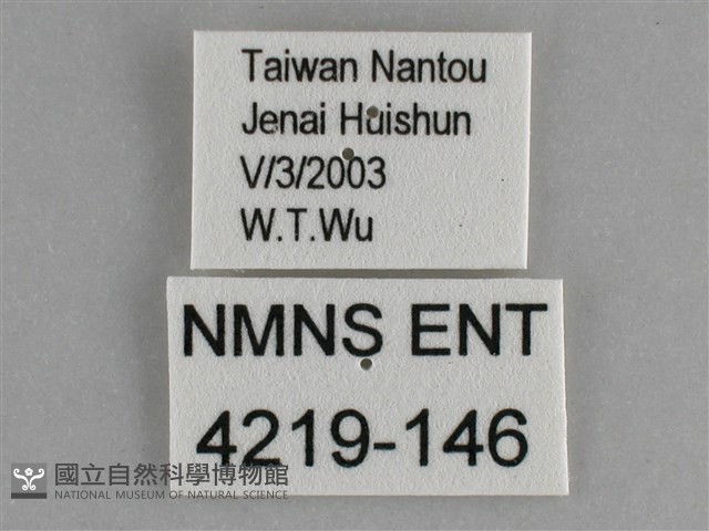 琉璃蛺蝶藏品圖，第3張