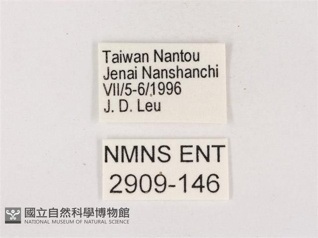 嫵琉灰蝶藏品圖，第3張