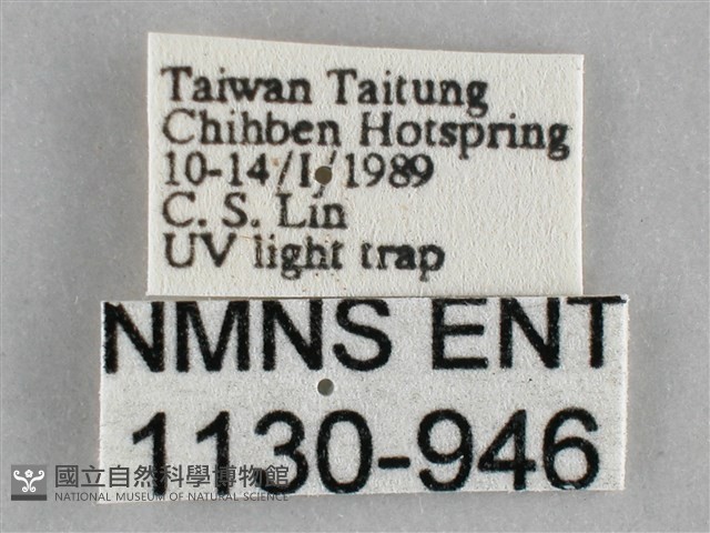 登錄號:001130-00946藏品圖，第3張