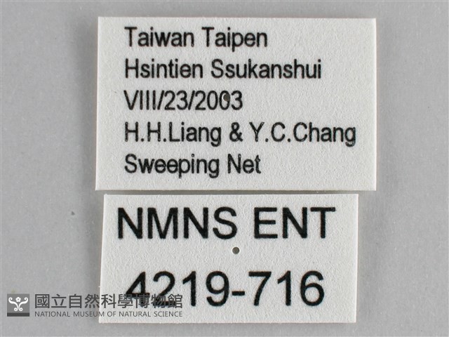 斐豹蛺蝶藏品圖，第3張