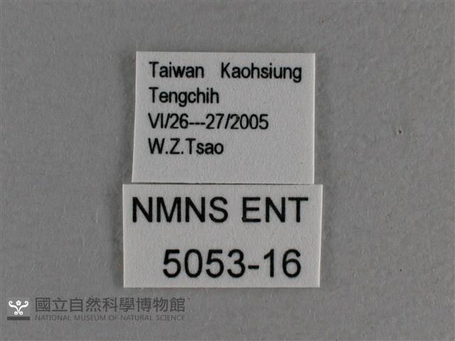 曲紋袖弄蝶藏品圖，第3張