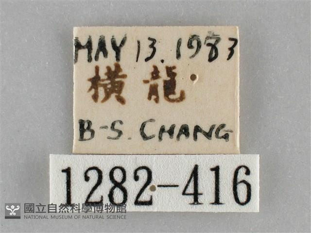 扁刺蛾藏品圖，第3張