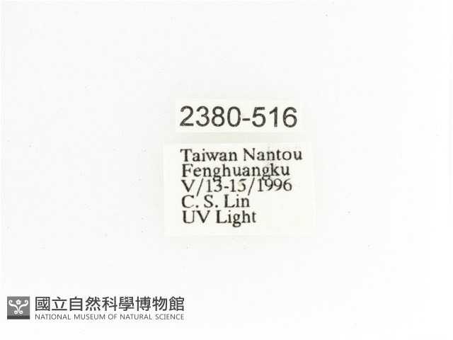 艷金龜藏品圖，第2張