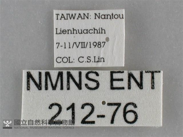 登錄號:000212-00076藏品圖，第3張
