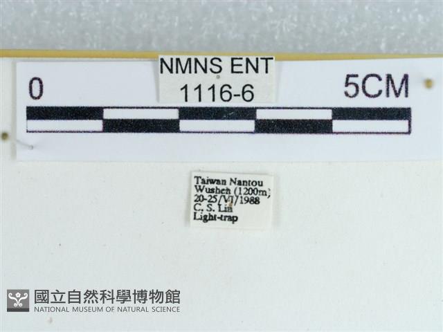 登錄號:001116-00006藏品圖，第3張