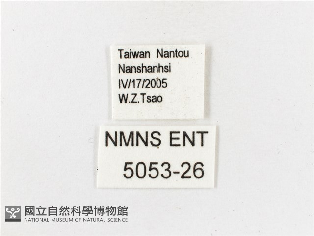 古眼蝶藏品圖，第3張