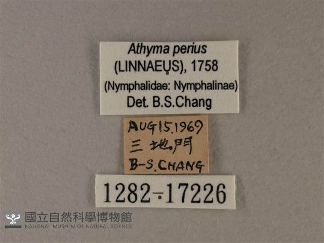 玄珠帶蛺蝶藏品圖，第3張