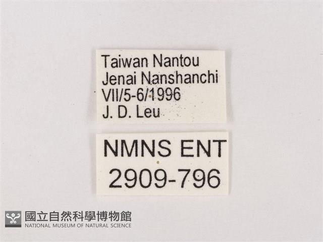 嫵琉灰蝶藏品圖，第3張
