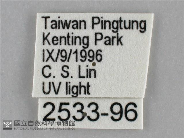 扁刺蛾藏品圖，第3張