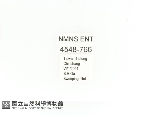 金艷騷金龜藏品圖，第2張