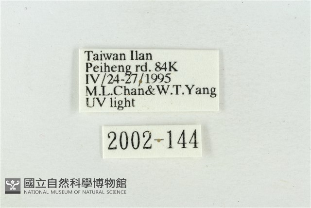 素木氏美波紋蛾藏品圖，第3張