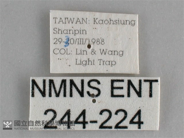 登錄號:000244-00244藏品圖，第3張