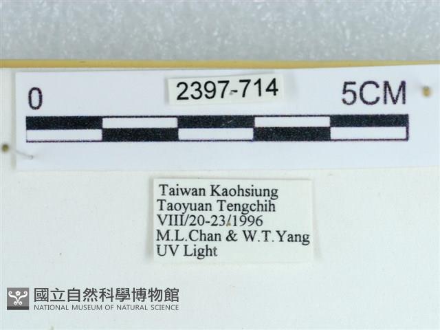 登錄號:002397-00714藏品圖，第3張