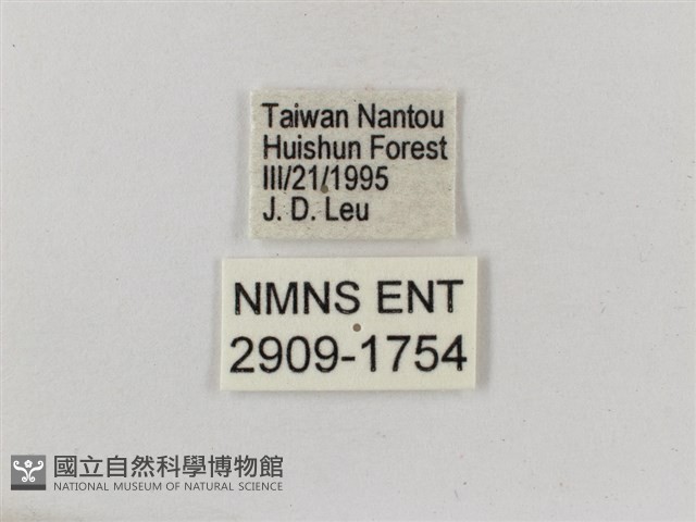古眼蝶藏品圖，第3張