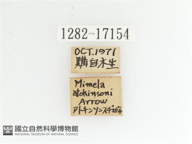 艷金龜藏品圖，第2張