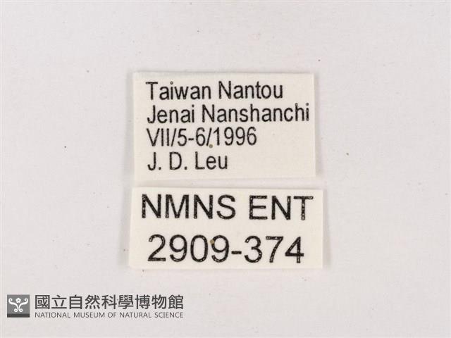 嫵琉灰蝶藏品圖，第3張