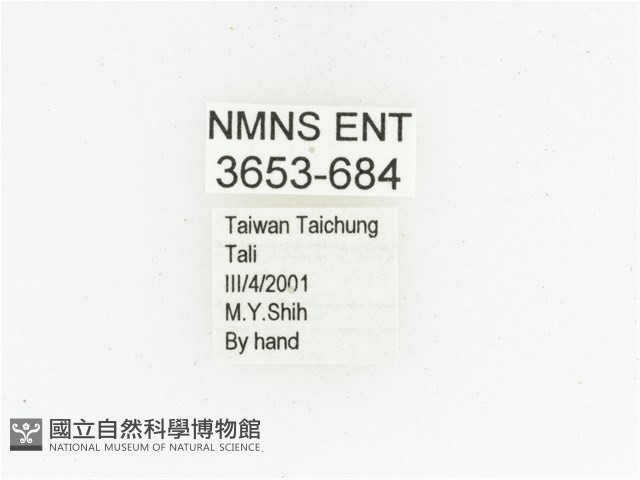 黑斑陷紋金龜藏品圖，第2張
