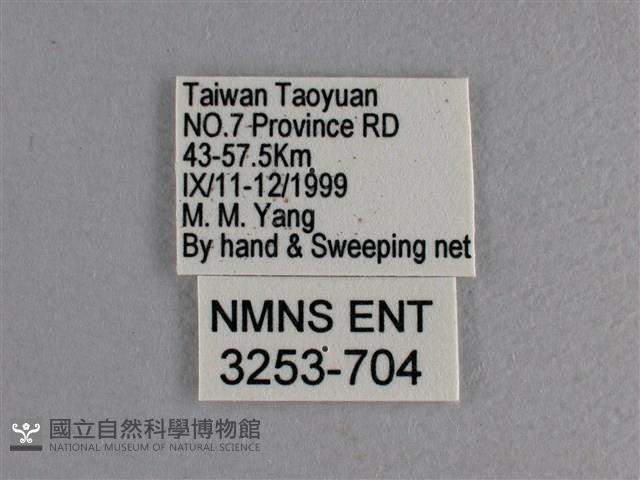 玉帶弄蝶藏品圖，第3張