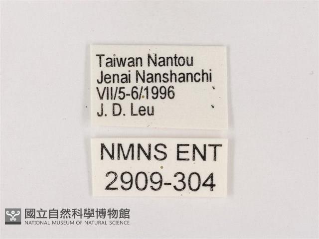 嫵琉灰蝶藏品圖，第3張