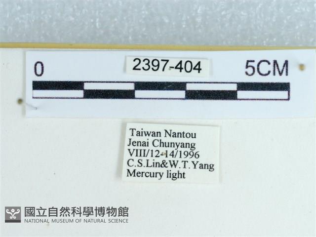 登錄號:002397-00404藏品圖，第3張