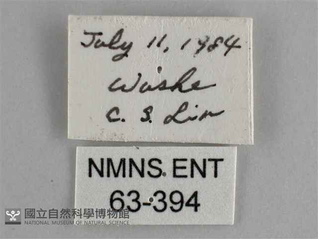 斐豹蛺蝶藏品圖，第3張