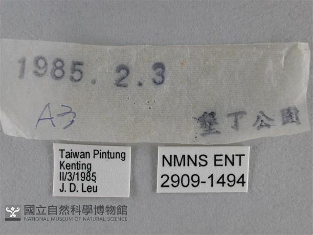 Accession Number:002909-01494 Collection Image, Figure 3, Total 3 Figures