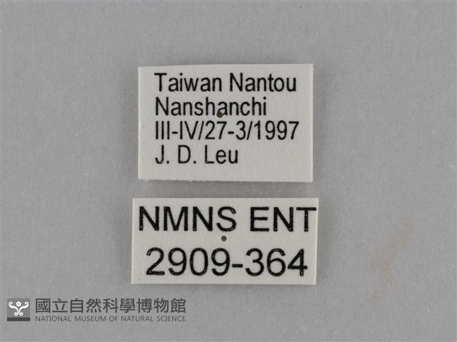 臺灣絹蛺蝶藏品圖，第3張