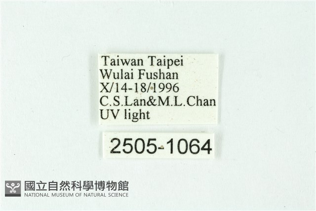 三色豔苔蛾藏品圖，第3張