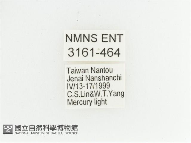 艷金龜藏品圖，第2張