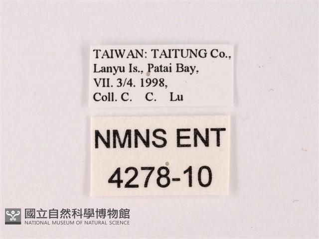 Accession Number:004278-00010 Collection Image, Figure 3, Total 3 Figures