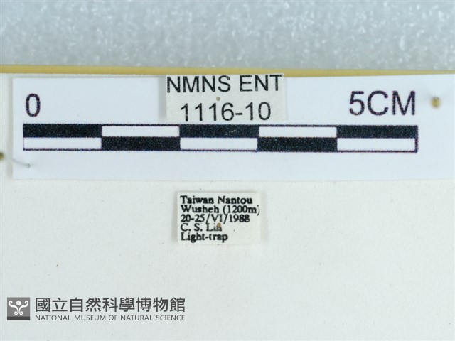 登錄號:001116-00010藏品圖，第3張