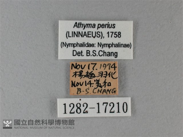 玄珠帶蛺蝶藏品圖，第3張