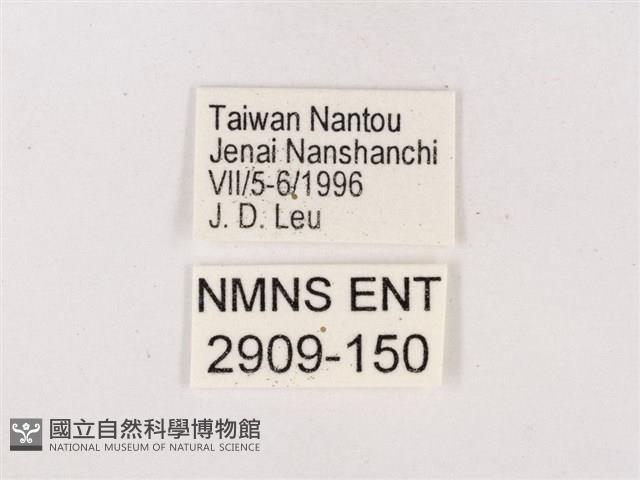 嫵琉灰蝶藏品圖，第3張
