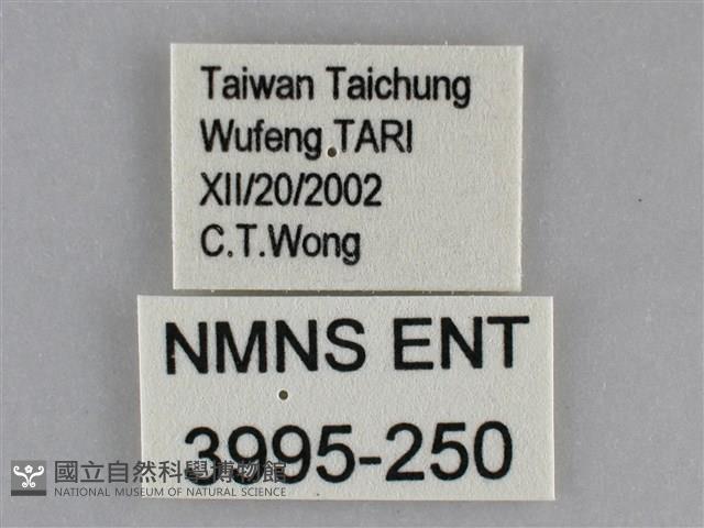 登錄號:003995-00250藏品圖，第3張