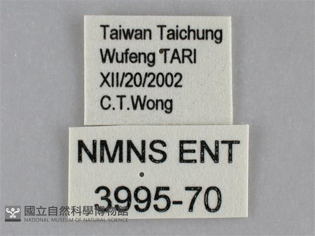 登錄號:003995-00070藏品圖，第3張
