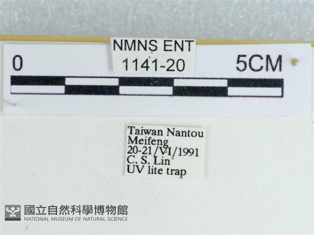 登錄號:001141-00020藏品圖，第3張