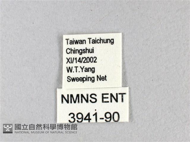 禾弄蝶藏品圖，第3張