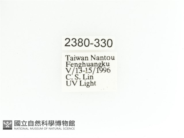 艷金龜藏品圖，第2張