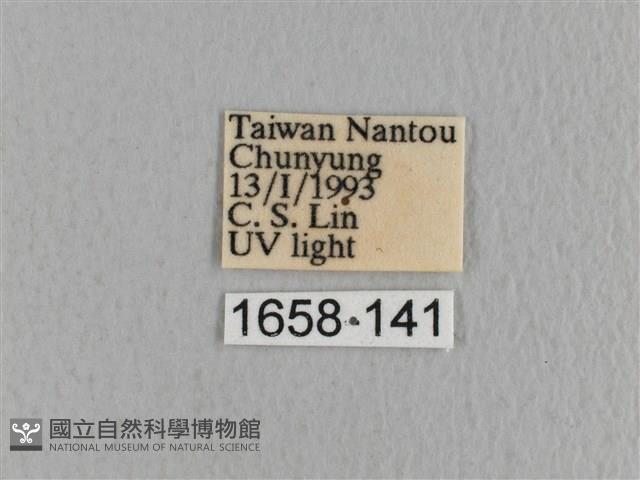 川邊氏枯葉蛾藏品圖，第3張