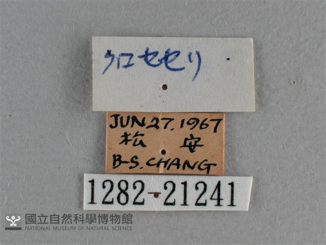 曲紋袖弄蝶藏品圖，第3張