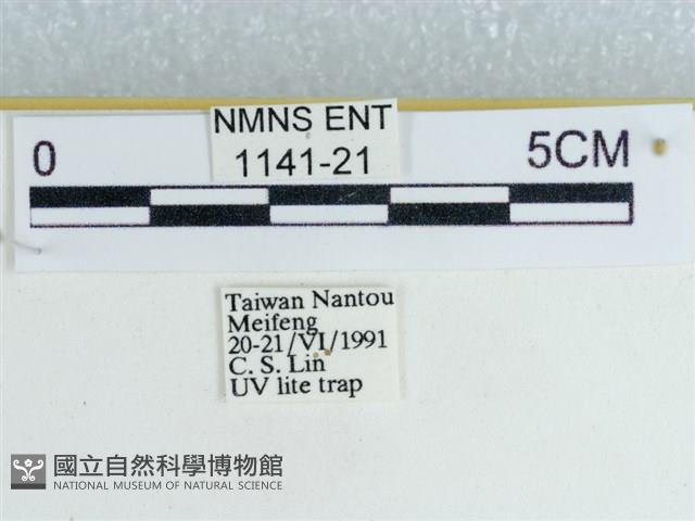 登錄號:001141-00021藏品圖，第3張