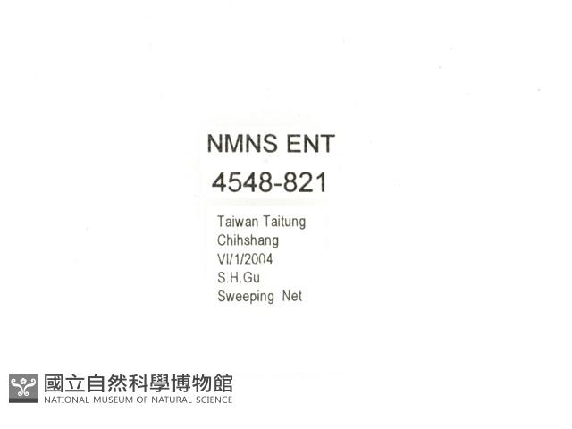 金艷騷金龜藏品圖，第2張