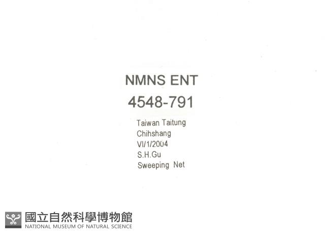 金艷騷金龜藏品圖，第2張