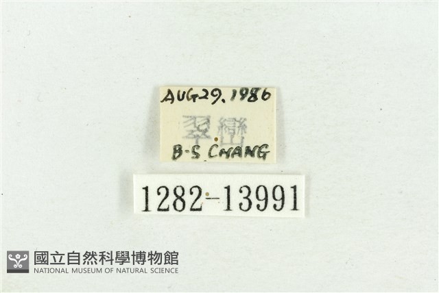 紅暈散紋夜蛾藏品圖，第3張