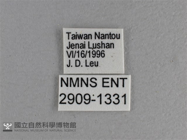 玉帶弄蝶藏品圖，第3張