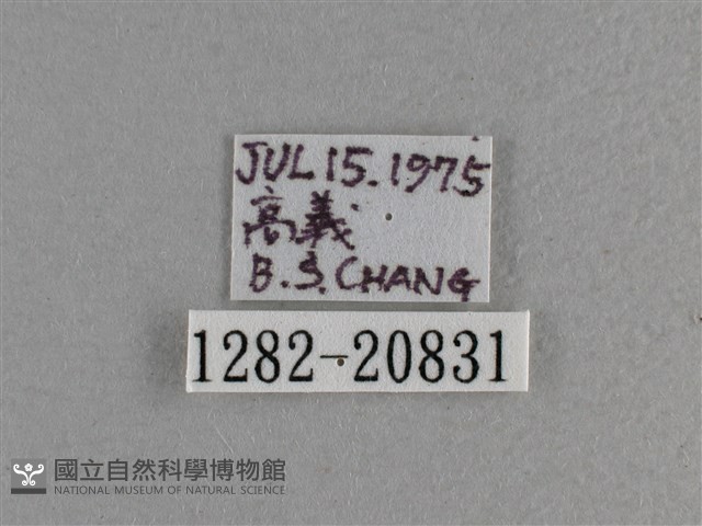 曲紋袖弄蝶藏品圖，第3張