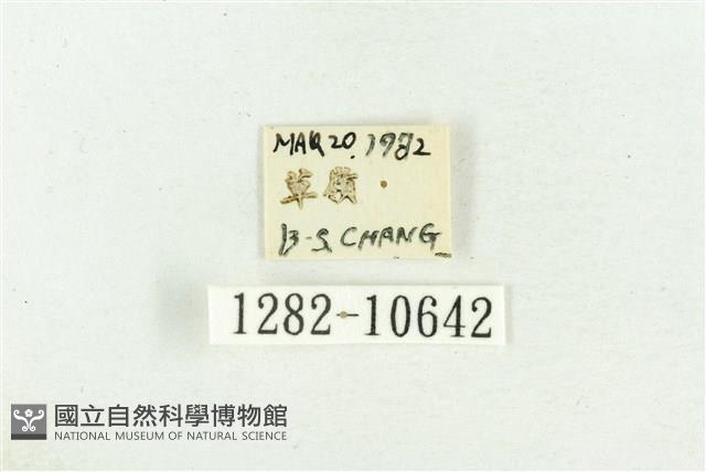 紅暈散紋夜蛾藏品圖，第3張