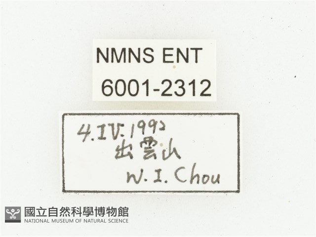 巴蘭陷紋金龜藏品圖，第2張