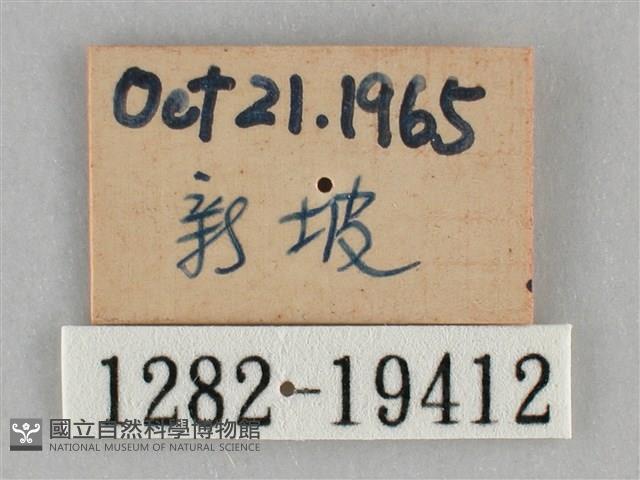登錄號:001282-19412藏品圖，第3張